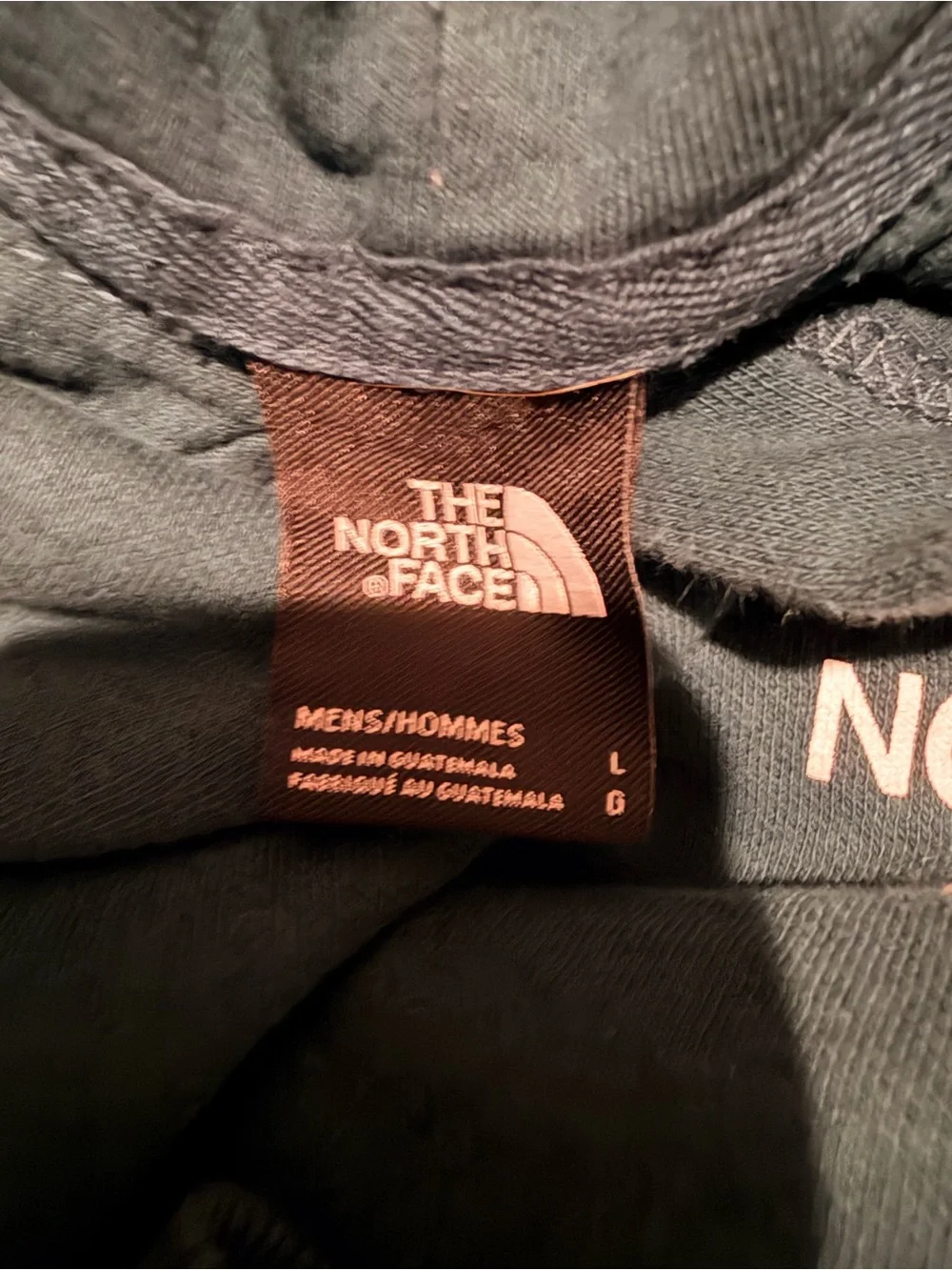 The North Face NSE Hoodie